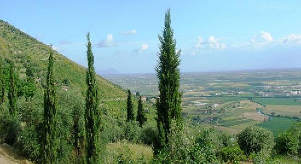 Il Mibact Impugna In Consulta Il Piano Territoriale E Paesaggistico ...