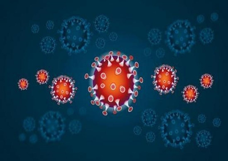 coronavirus-covid-19