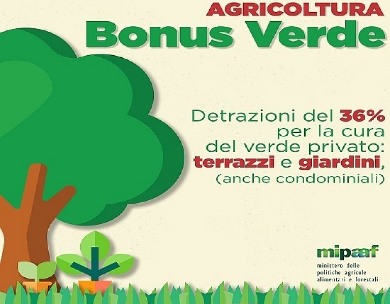 bonus-verde