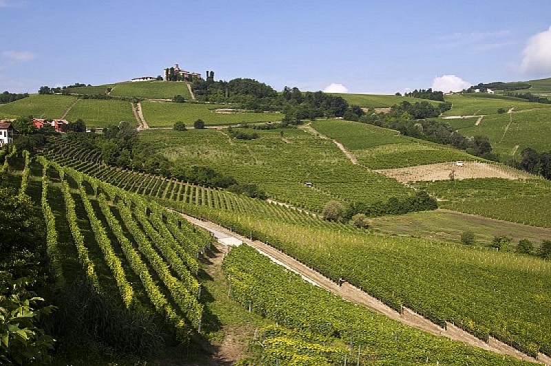 langhe_paesaggio