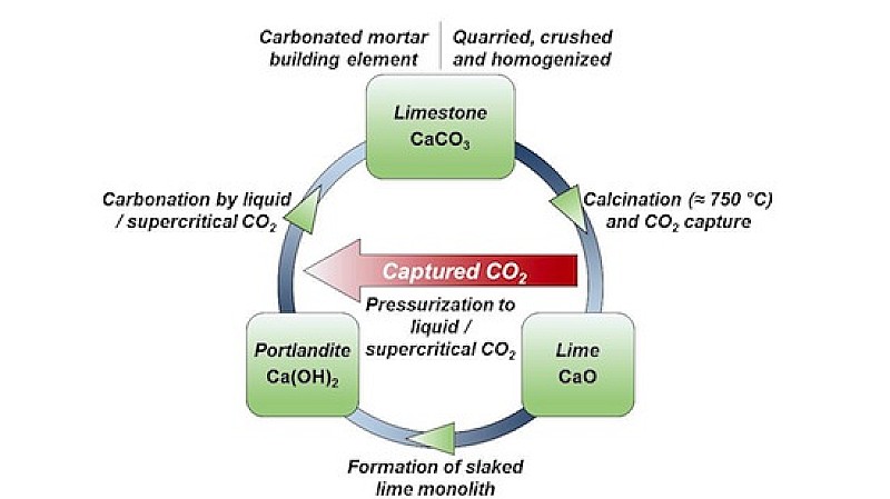 Graphical-Abstract-Final