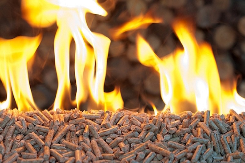 Wood-pellets-shutterstock_114671833-600x399