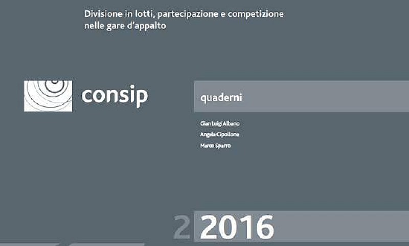 1_consip_volume_divisione_lotti