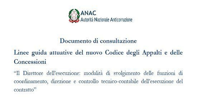 1_consultazione_anac_esecuzione_direttore