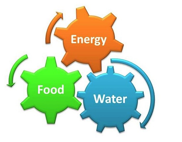 Energy food wheel