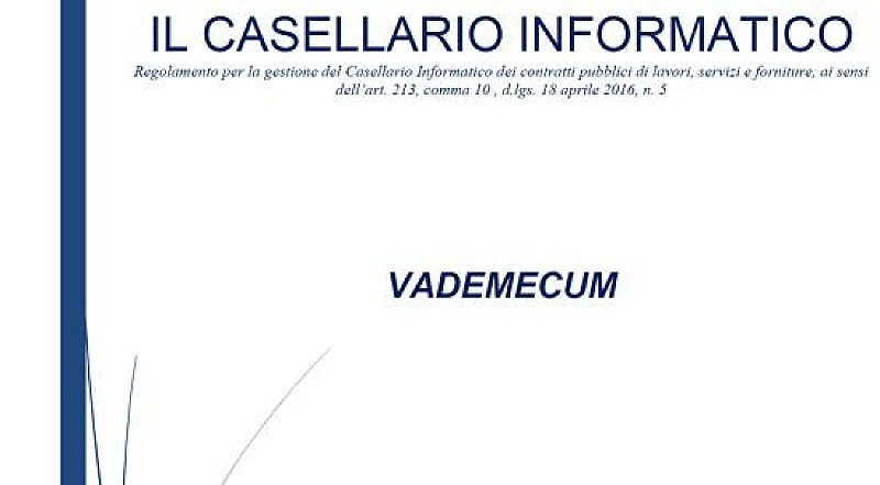 1_a_b_a-ance-casellario-informatico-vademecum